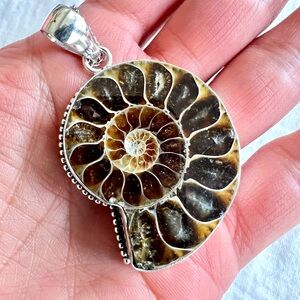 Elegant Silver Ammonite Pendant Necklace
